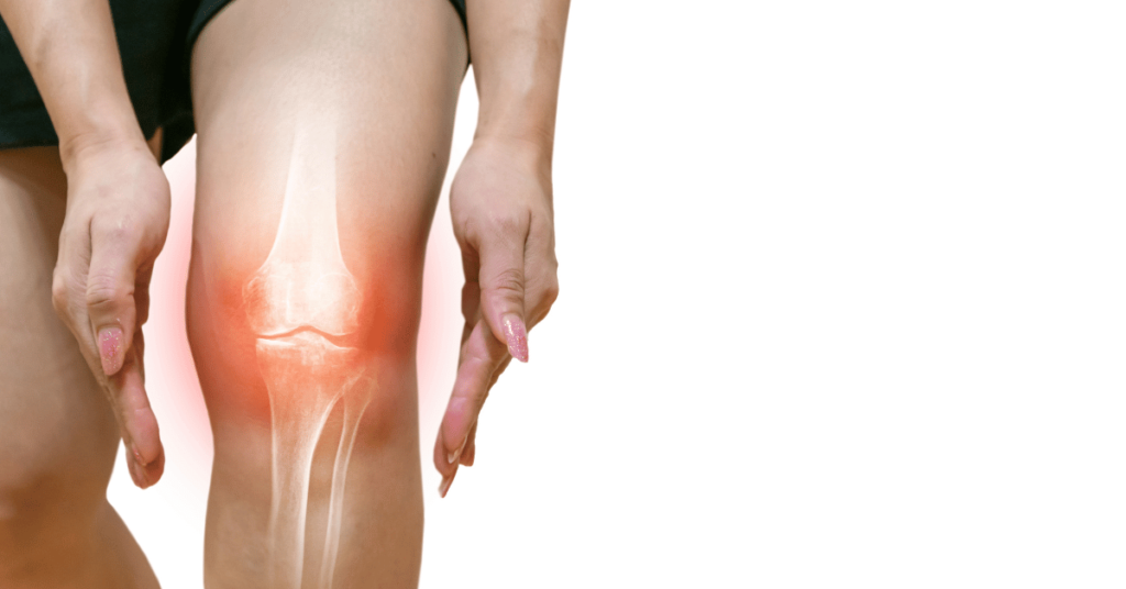 Bone and Joint Health